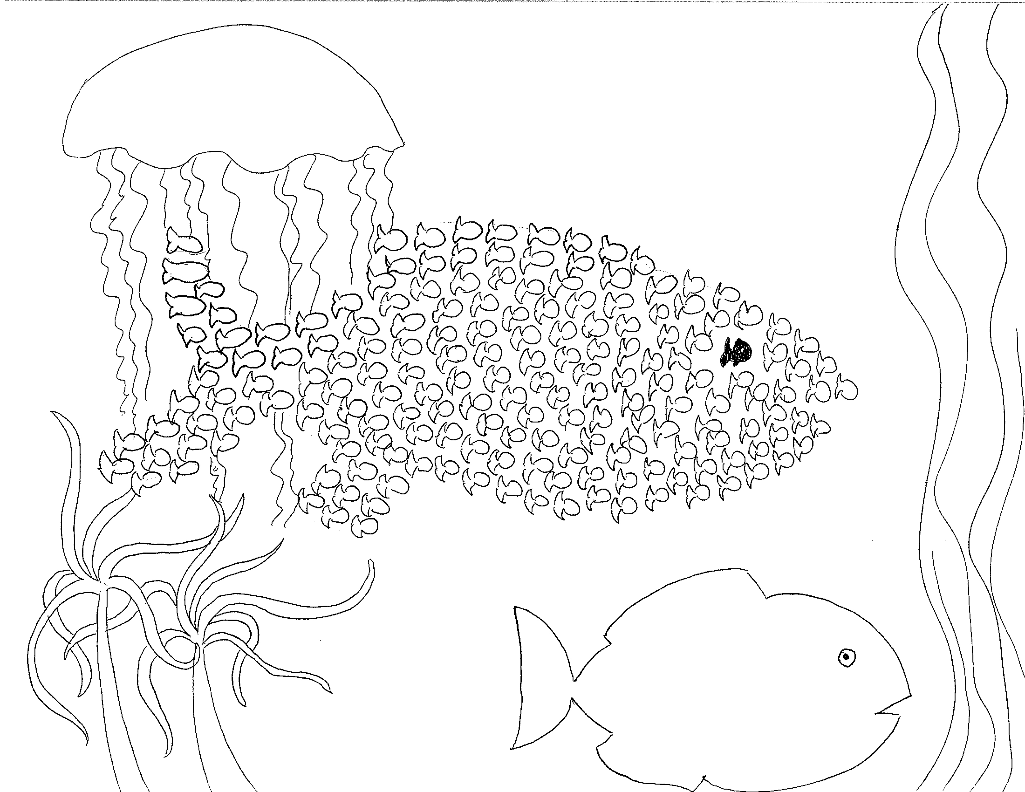 Swimmy colouring page
